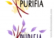 Purifia logodesign