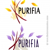 Purifia logodesign