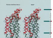 Medical Illustration about molecules