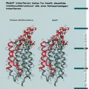 Rebif Moleculen