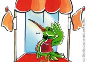 Promotional illustrations for a hotel